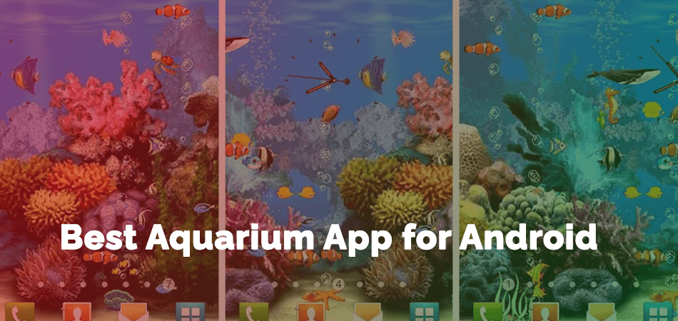 Best Aquarium App for Android